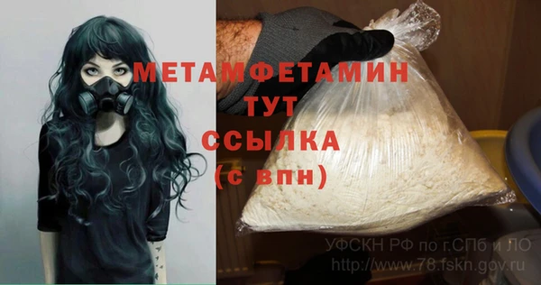 гашик Майский