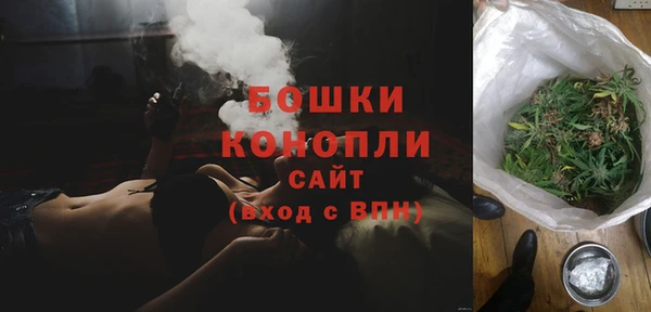 гашик Майский