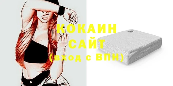гашик Майский