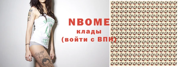 гашик Майский