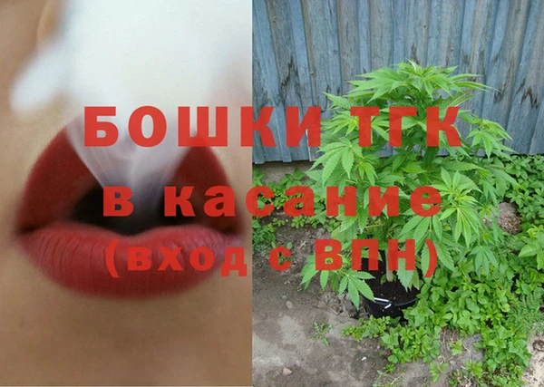 гашик Майский